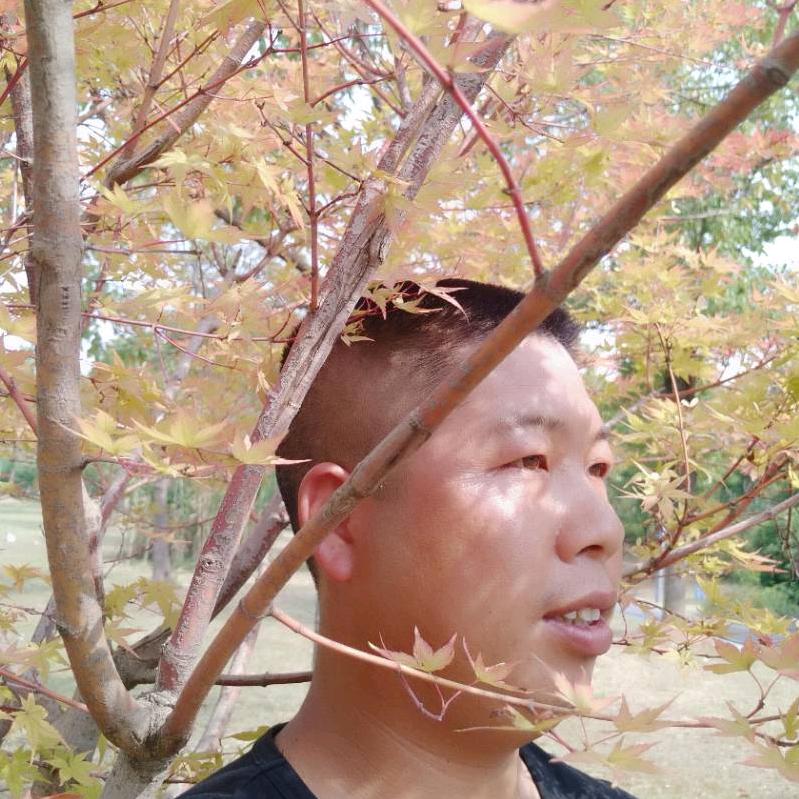寻找真爱。