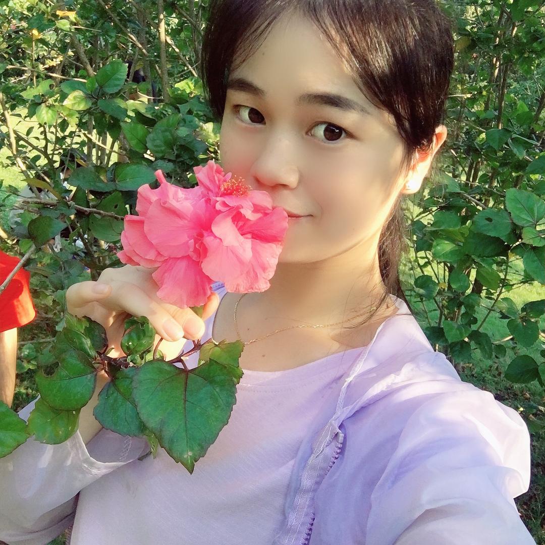 凤凤🌸