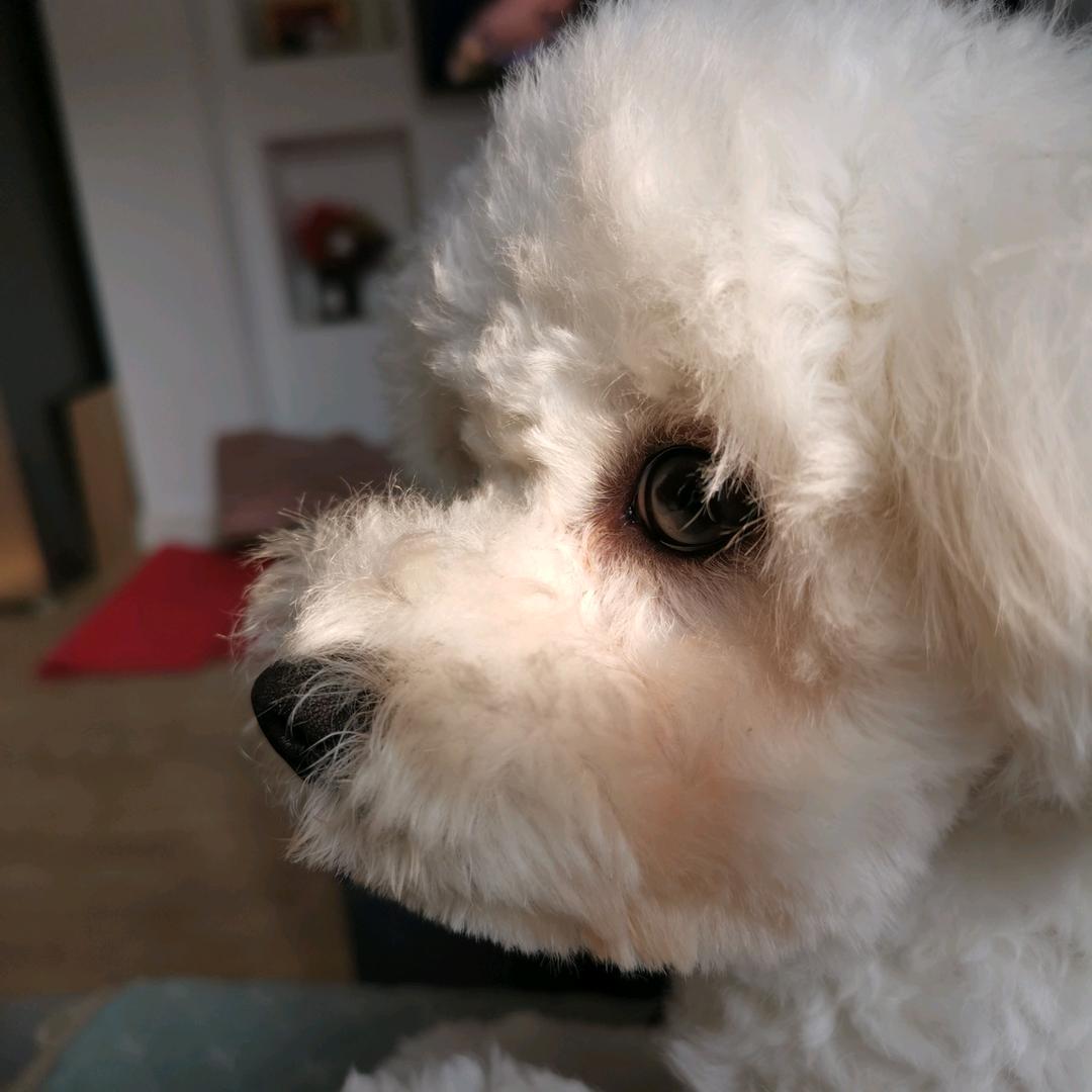 酸奶^小瓶🍼