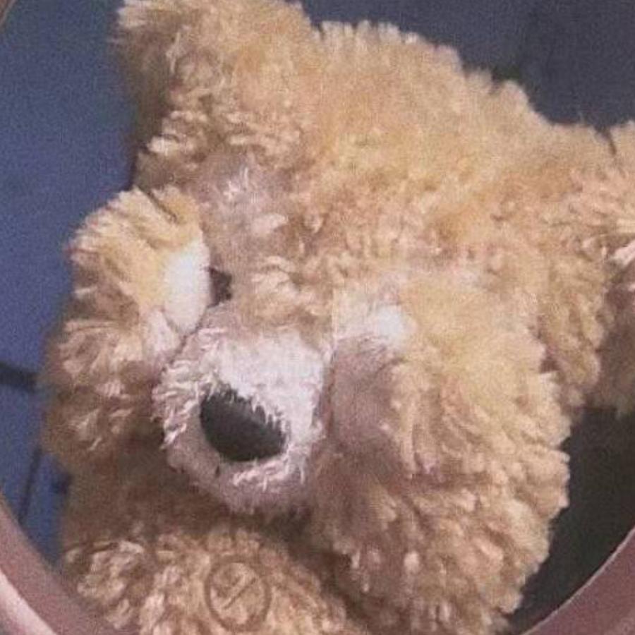 我下班了蟹老板