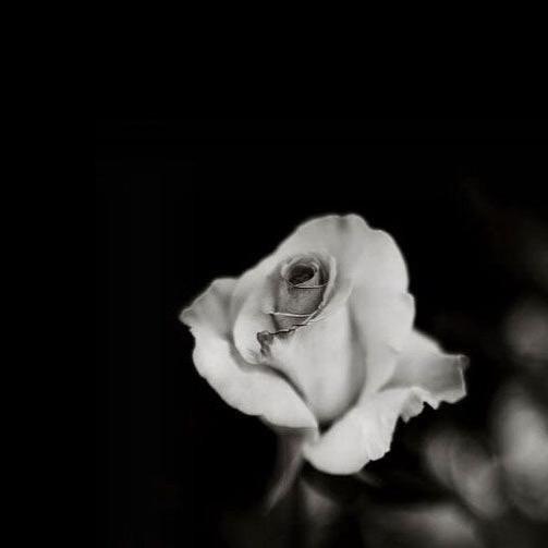 潜江瓷砖批发-小王