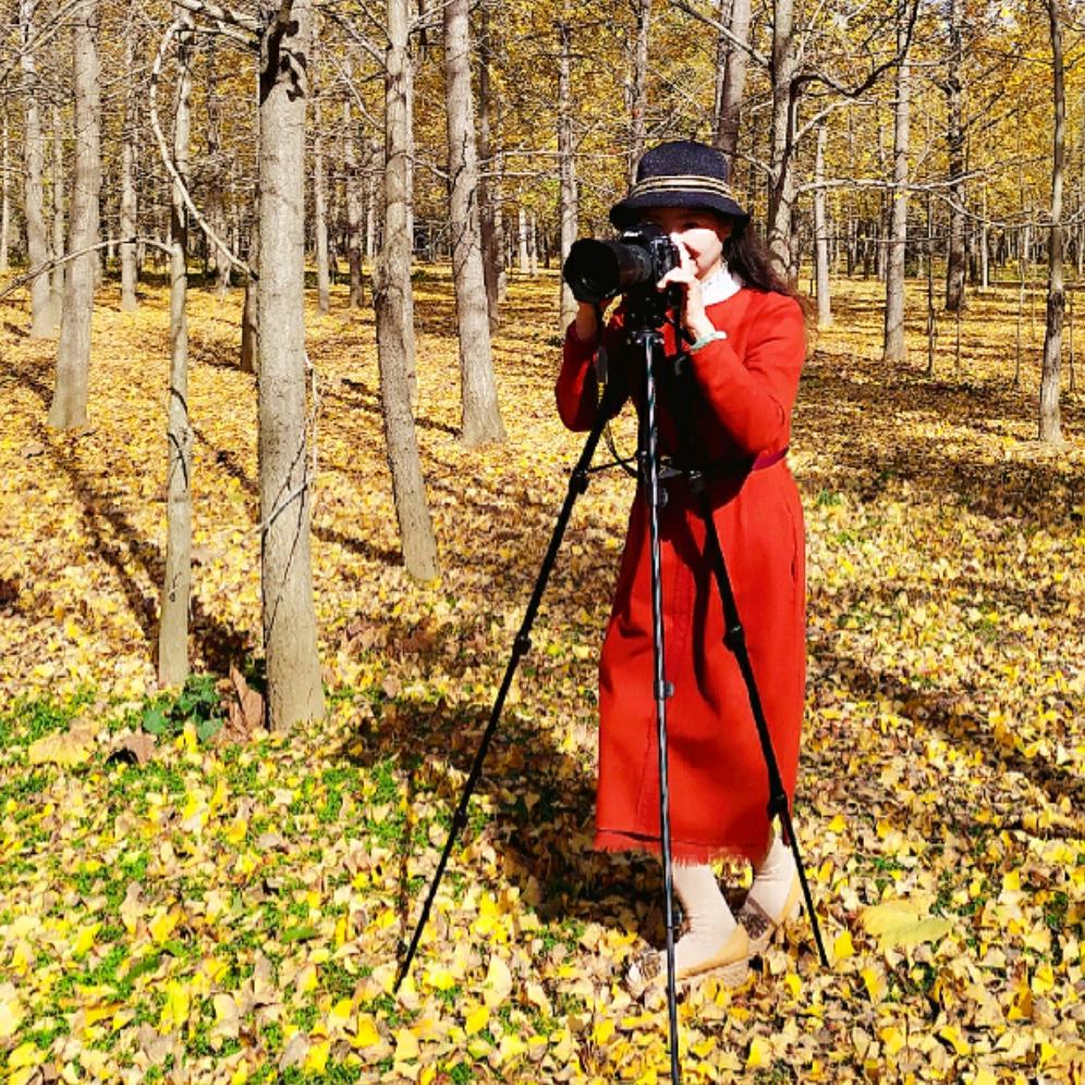 爱好摄影一招出美片