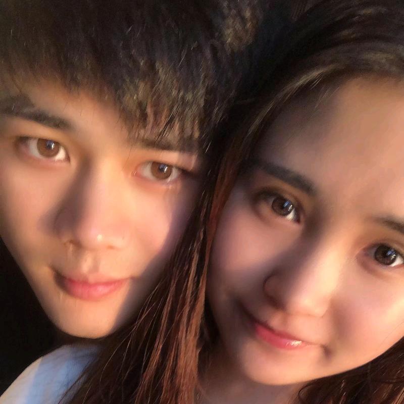 一只no zuo no die的二哈