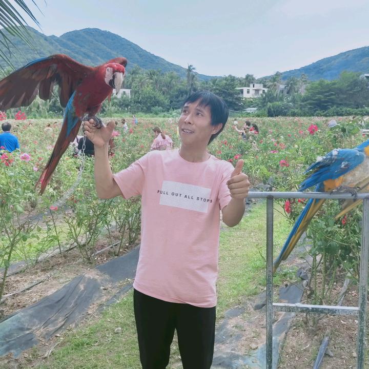 天网辉辉