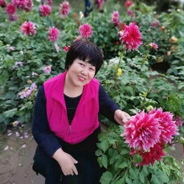 倾城一笑