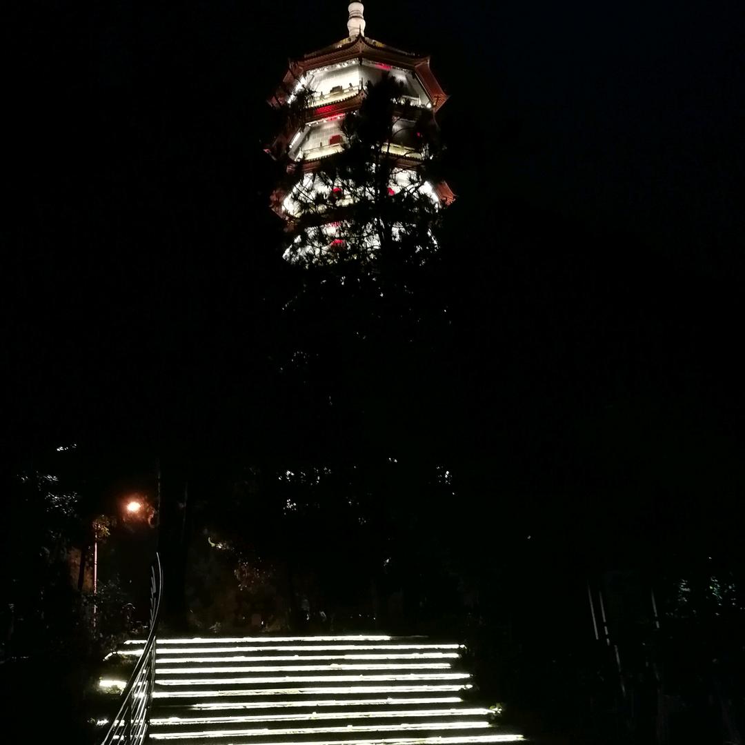 黑色玫瑰璀璨钻石