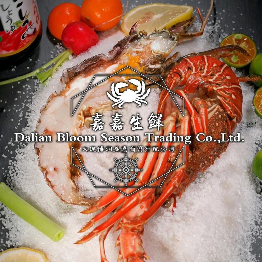 嘉嘉生鲜 大连博润盛嘉商贸有限公司