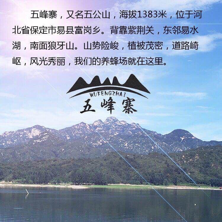 五峰寨纯天然蜂蜜