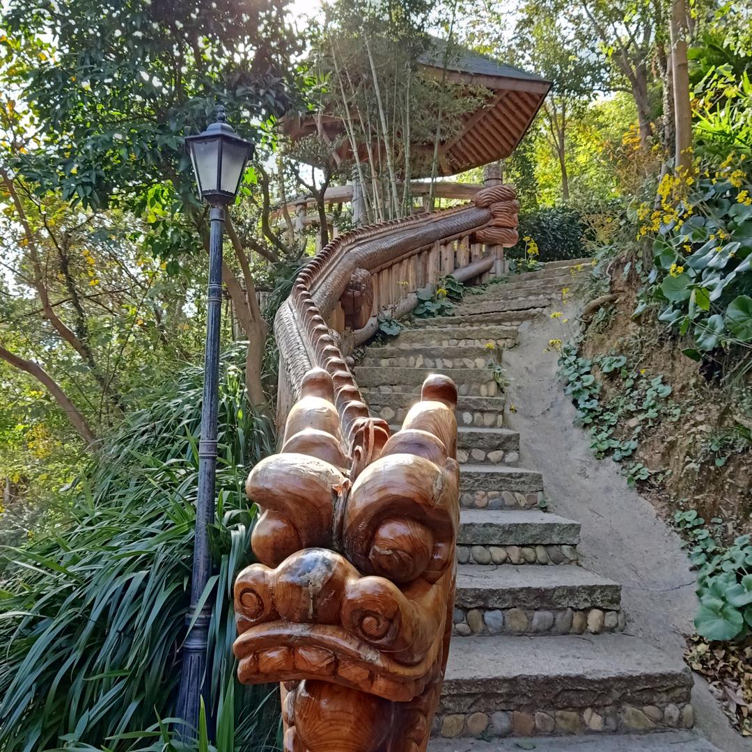 衢山龙舌兰山庄沈姐