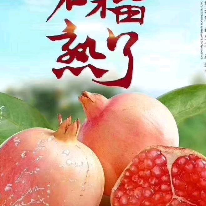 醉美榴园