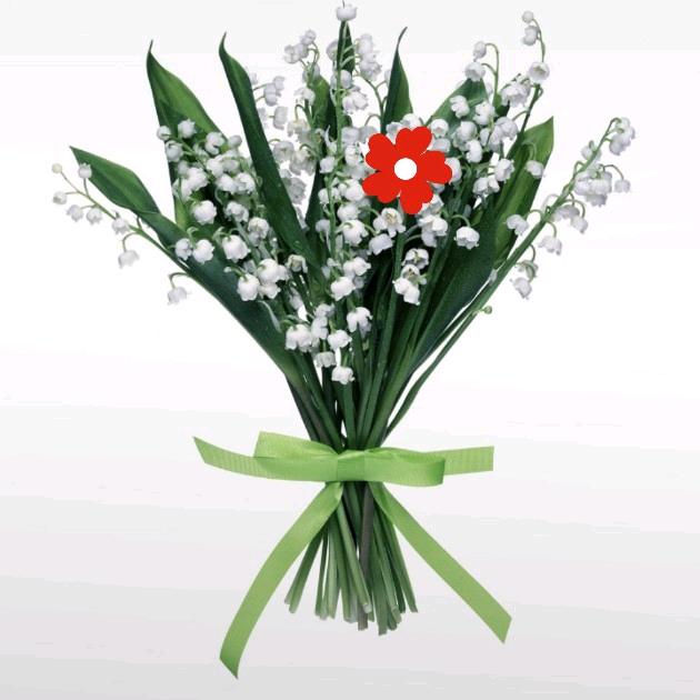 看到并非都真实