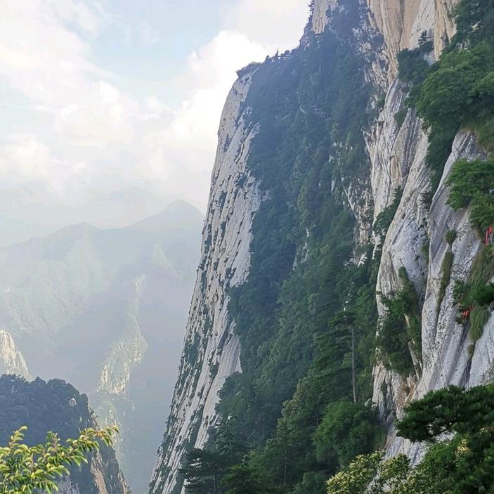 李龙