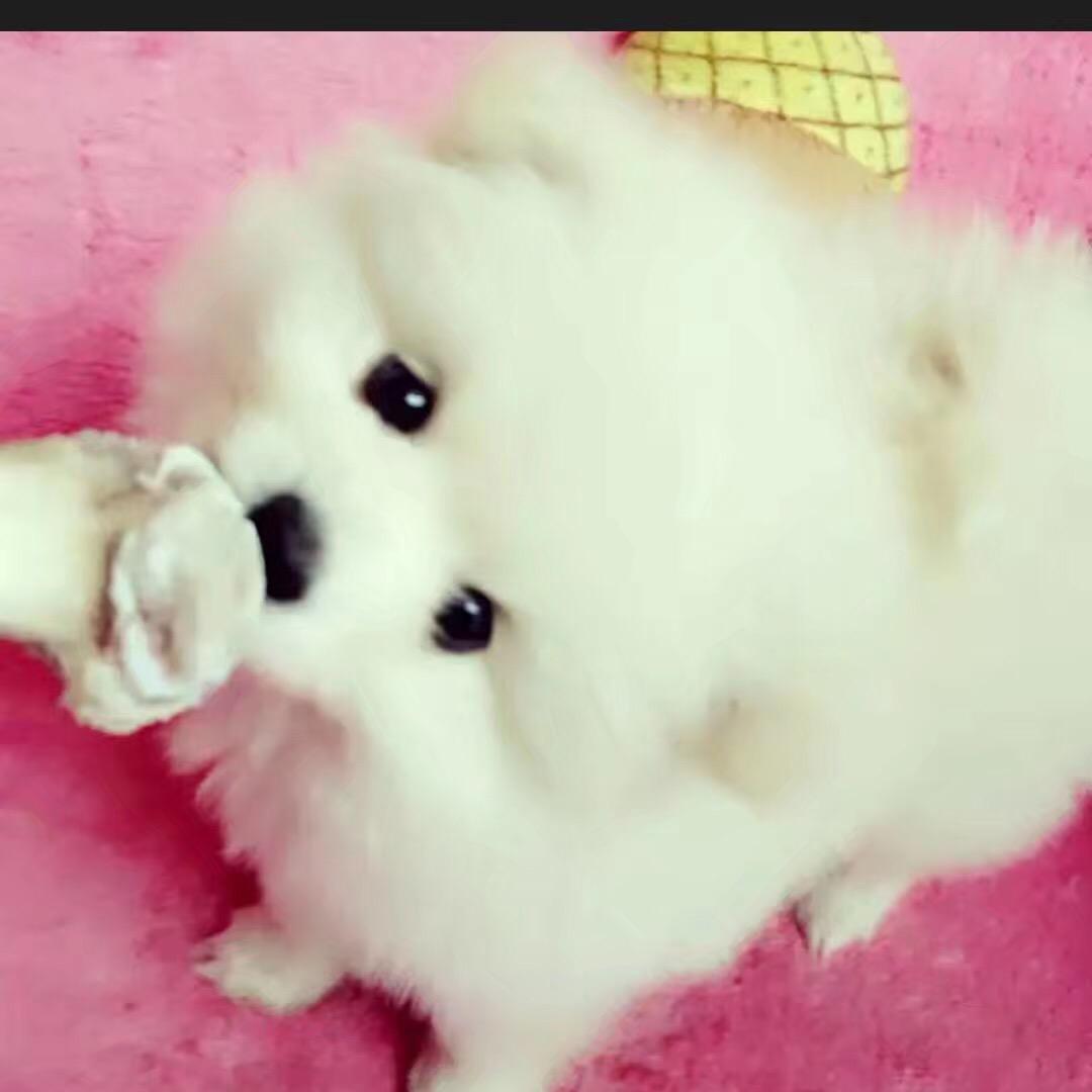 雪姐💃1319