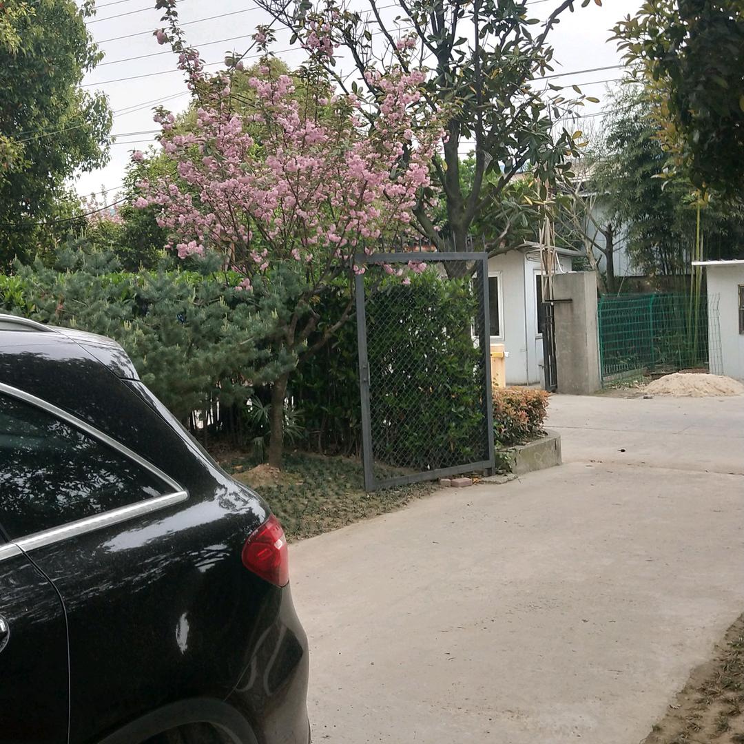 鸿运当头