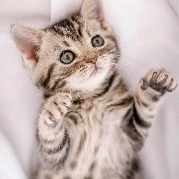 我睡觉的时候不困