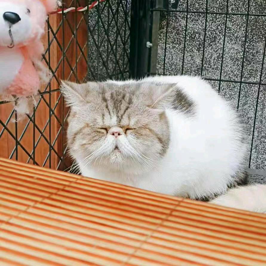 人生如此《拒绝私聊》