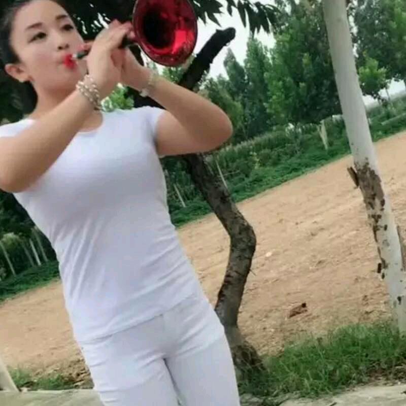 我是河南人