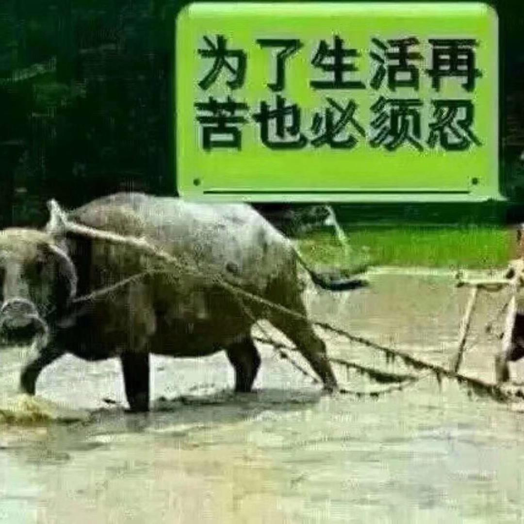 俺是四川农村的