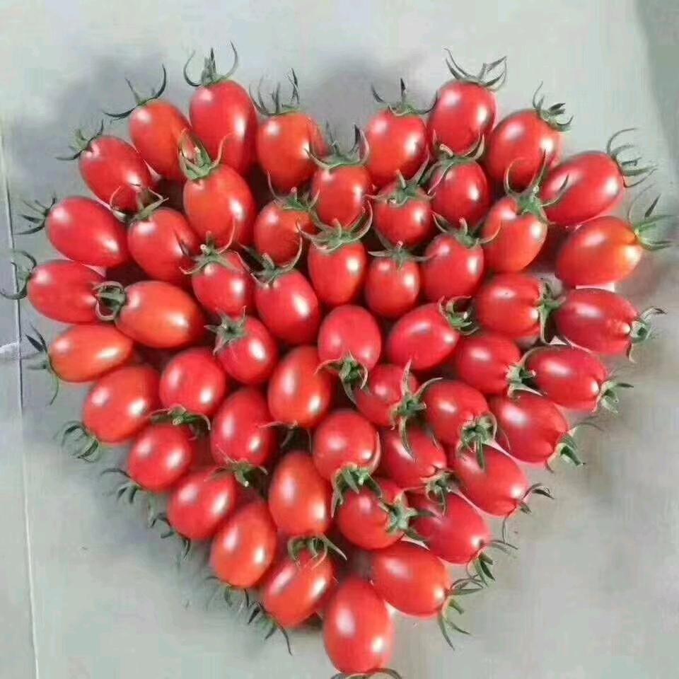 汉室家风💰去周如晋