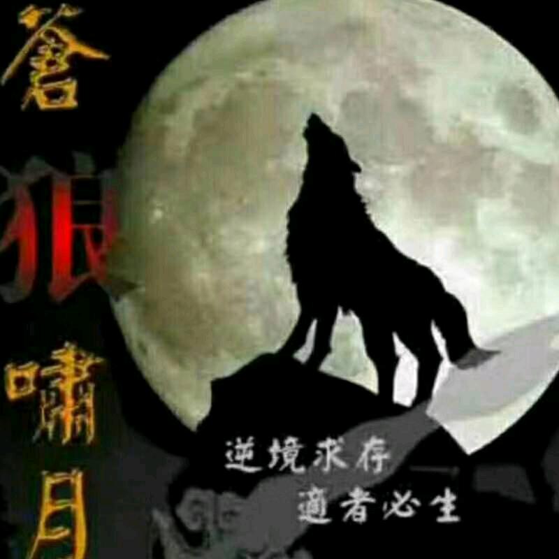 与狼共舞与时俱进（请勿连赞）