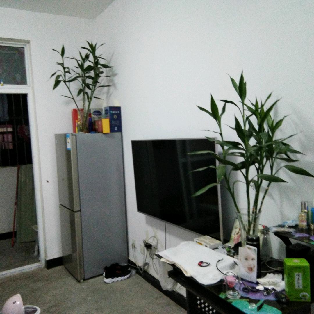 展望未来