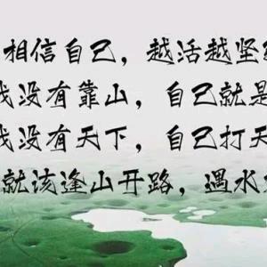 自己选择的路爬着也要走下去