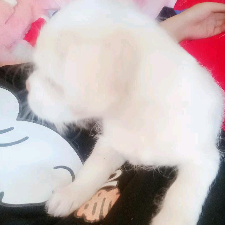 东阿县铜城悦享健康服务馆