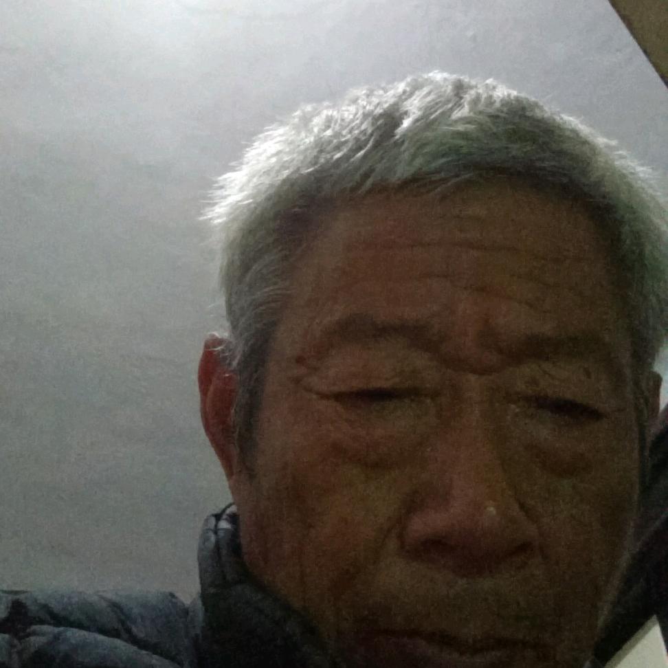 董老师安徽涡阳县