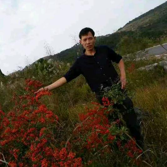 伍明亮