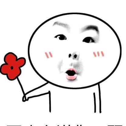 胖子知网(弱电监控网络覆盖)。