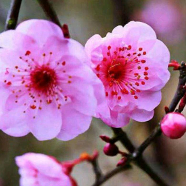 幸福一生拒绝私聊