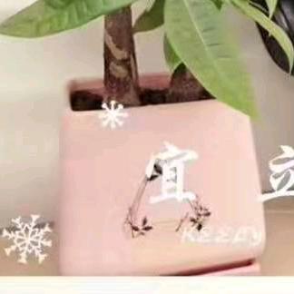 坠落星河