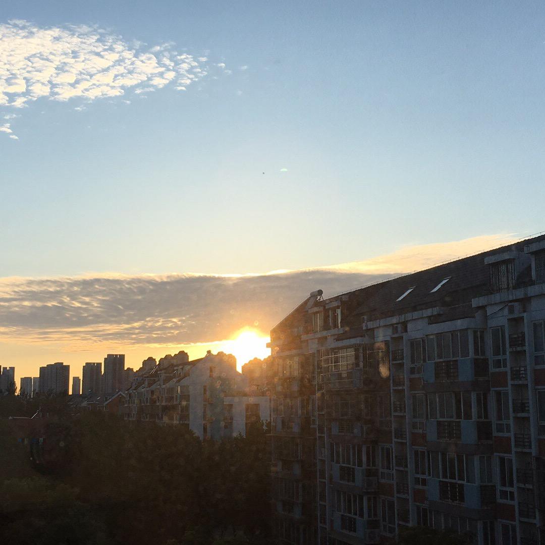 映日荷花别样红