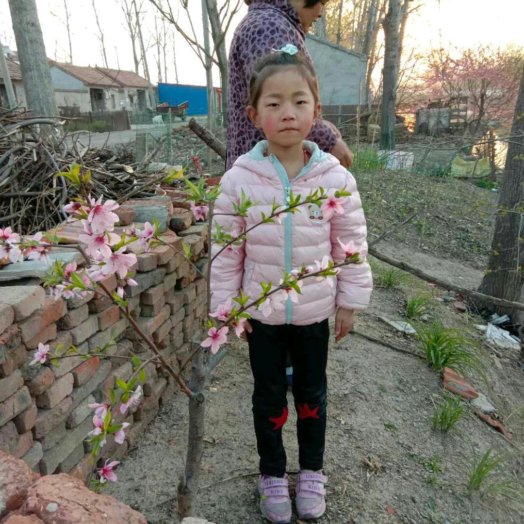 一个你够了