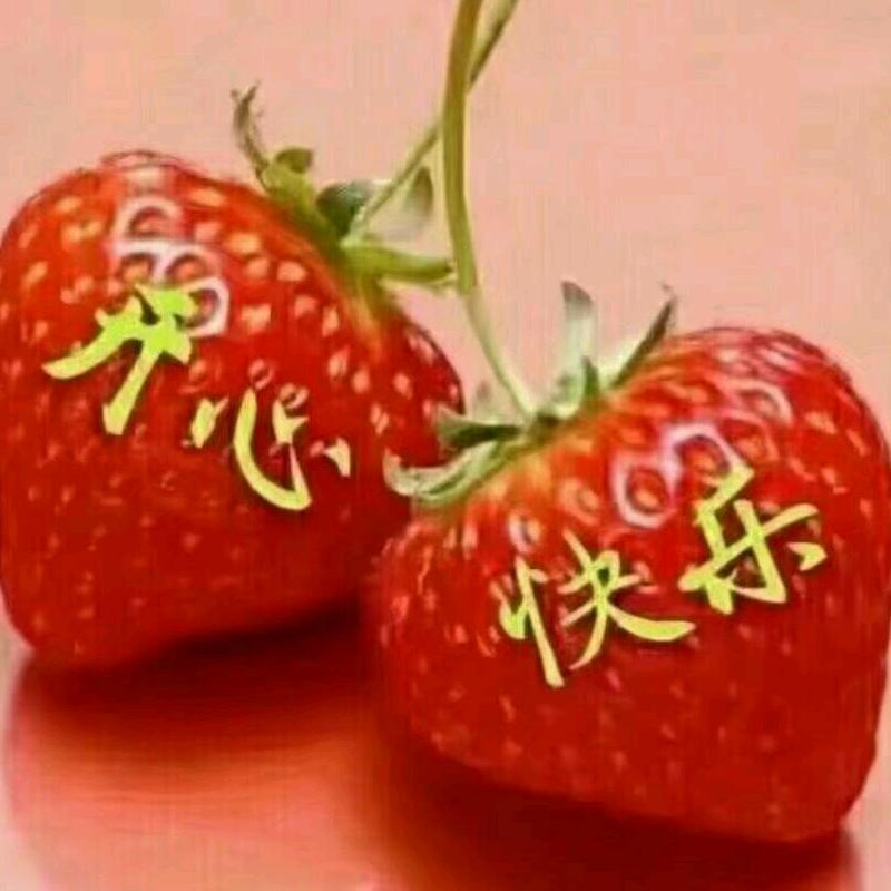 芳杰