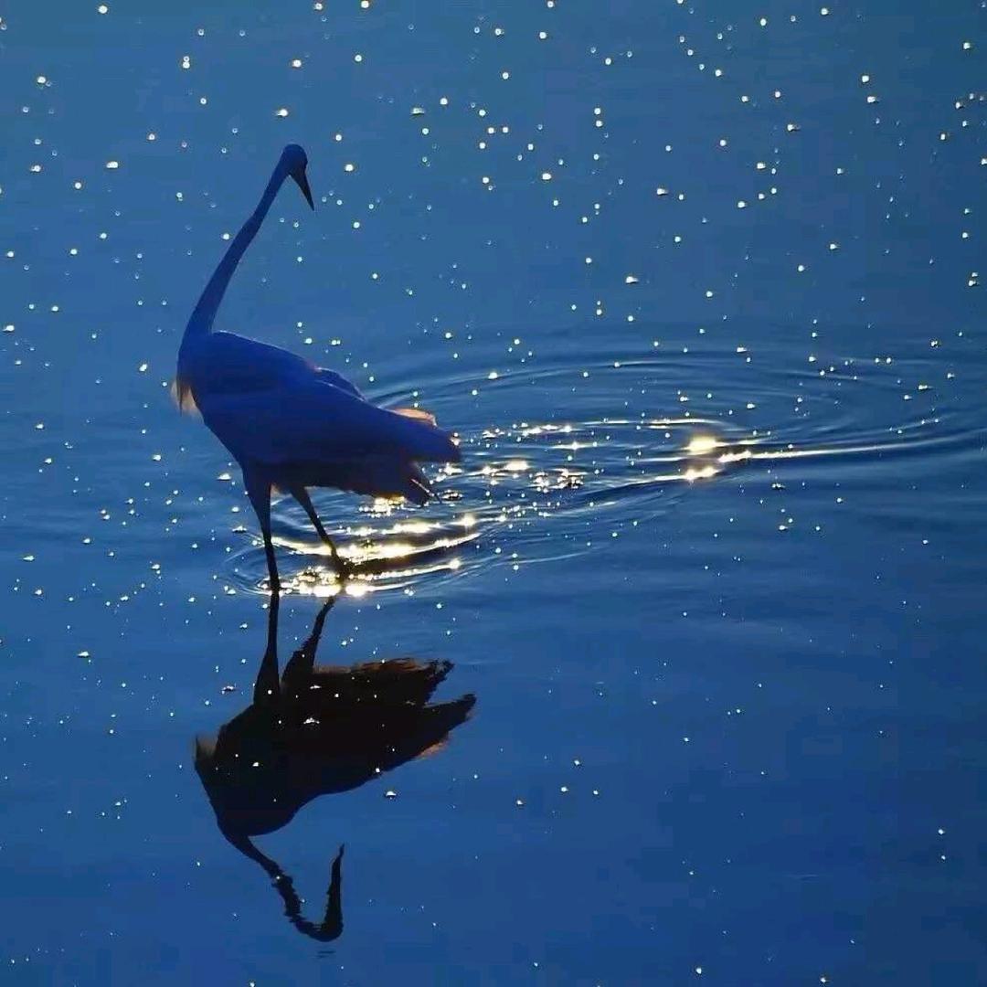 浪子燕青