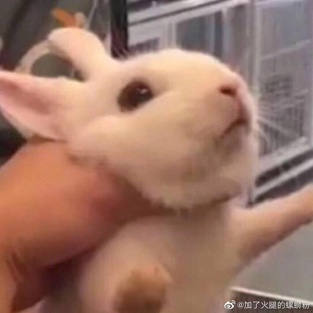 思尹不悔叹奈何