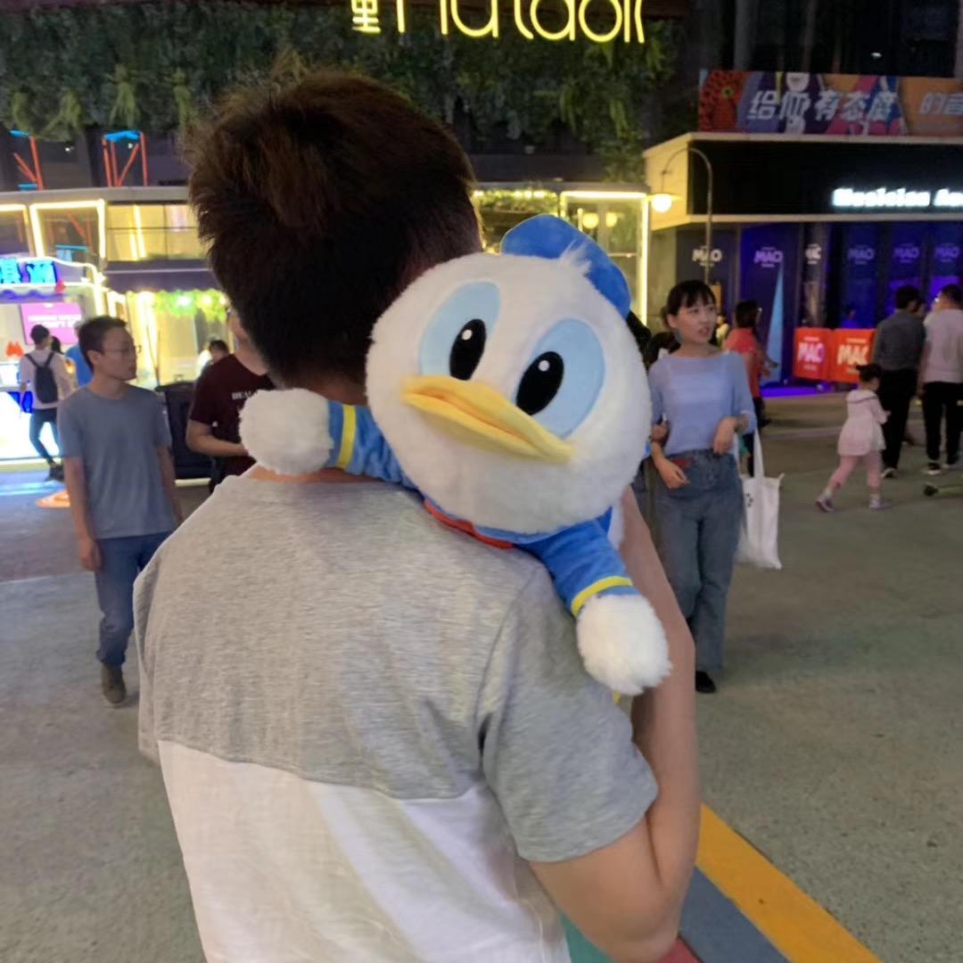 小呆鸭