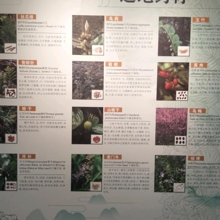 取个好网名太难