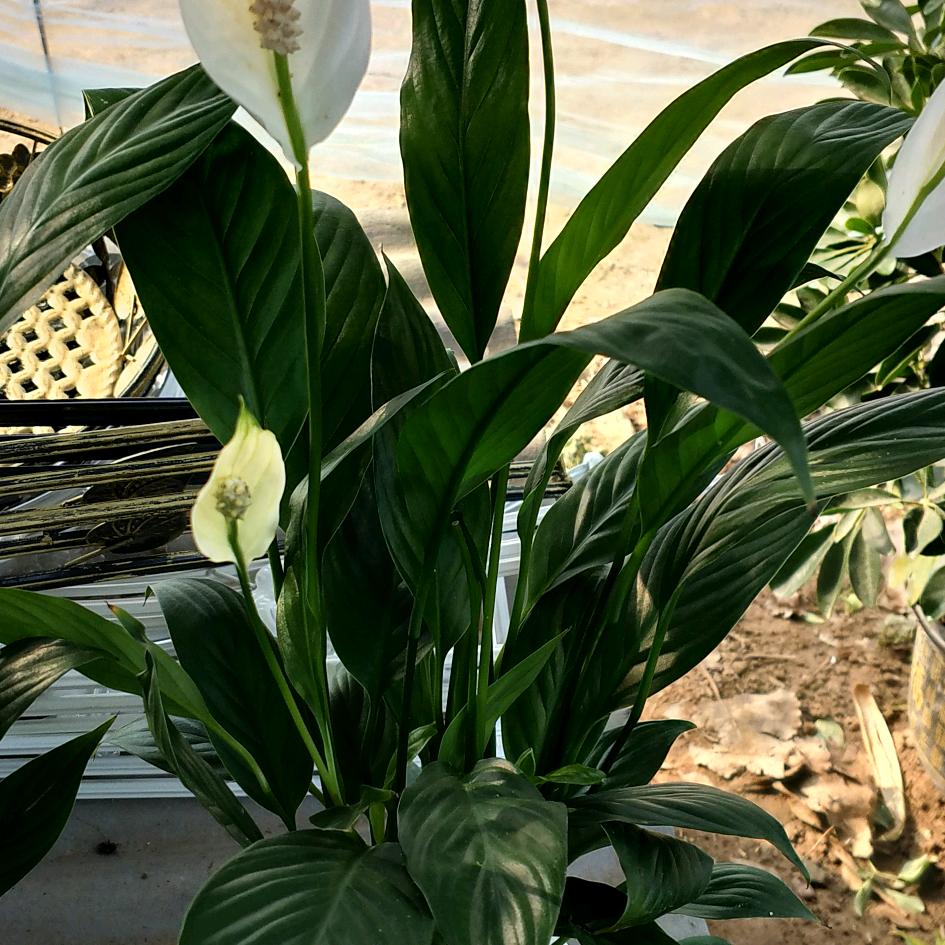 薛滦新城惠民超市