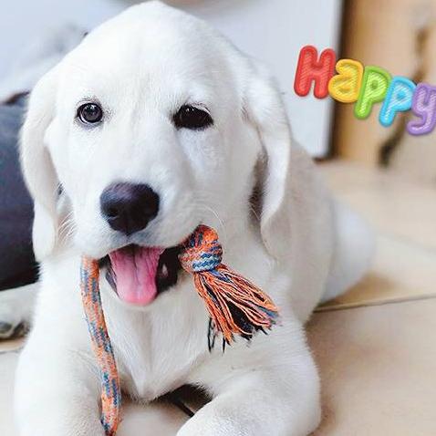 会说话的库里@抖音