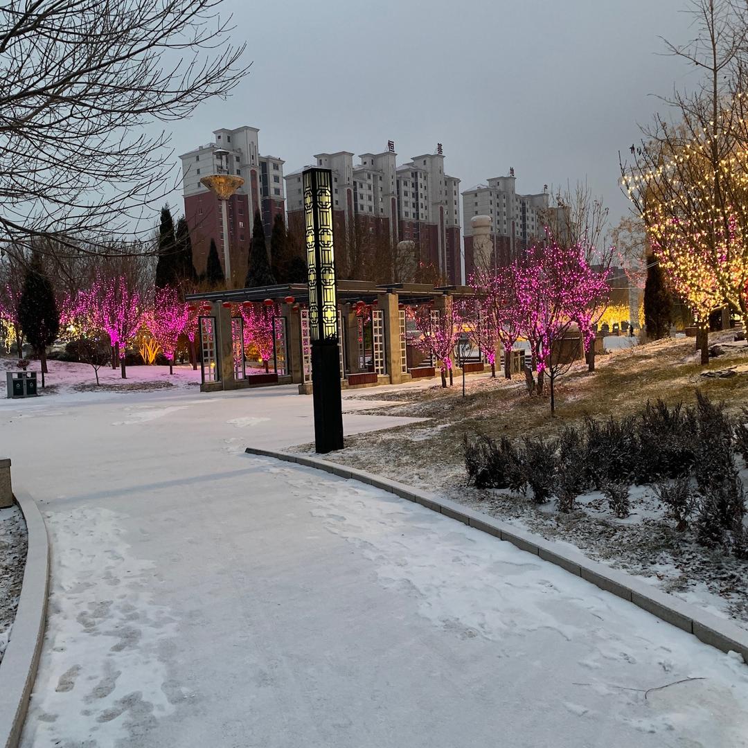 生物质燃烧机厂家-廊坊鹏恒机械