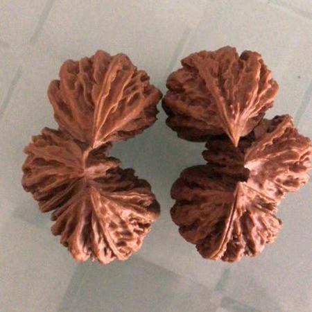 众鑫铸剑蕊