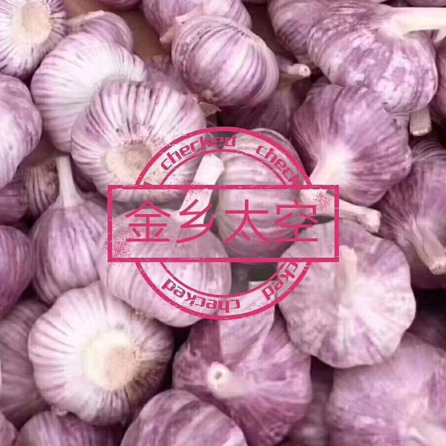 金乡