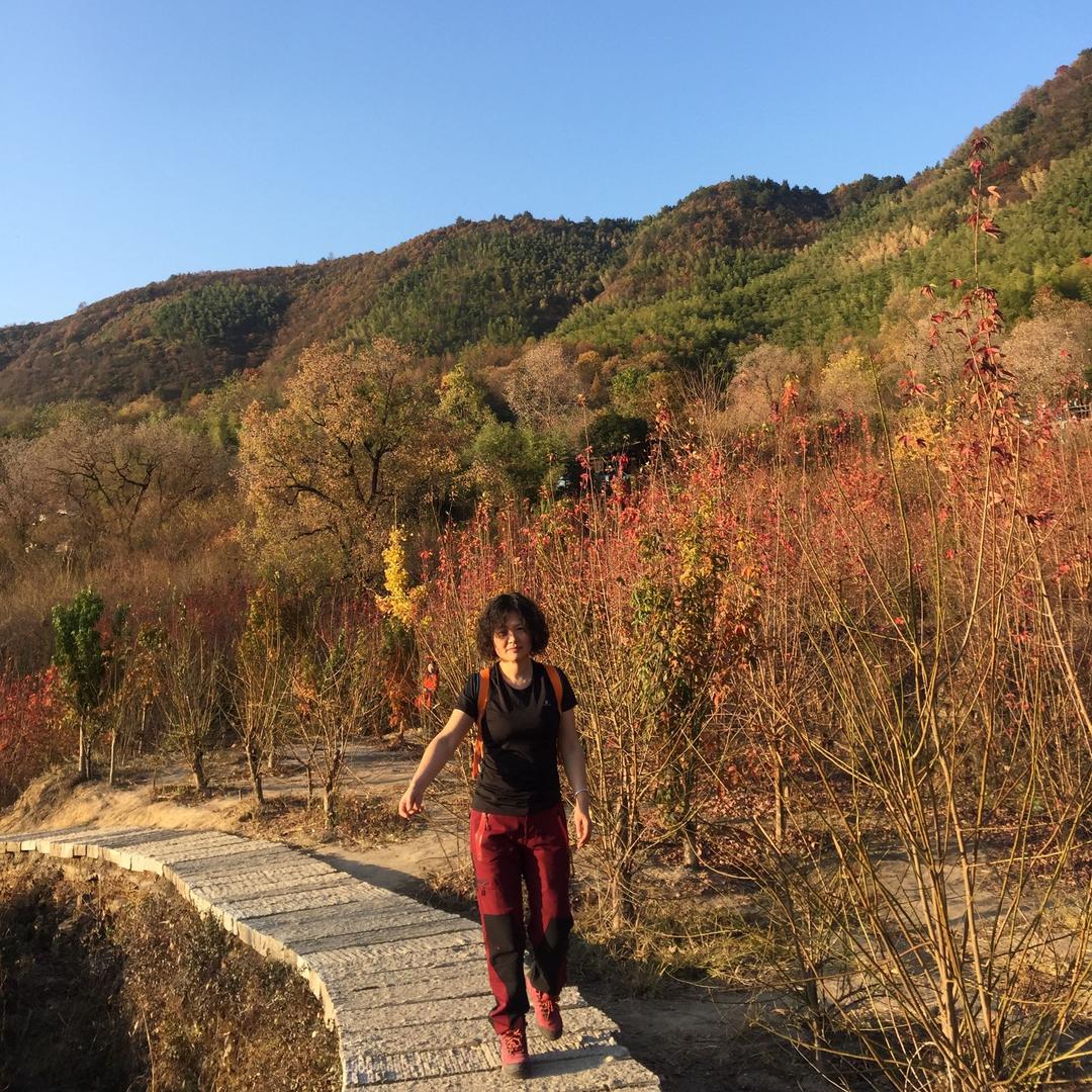 美华～在澳洲布里斯班