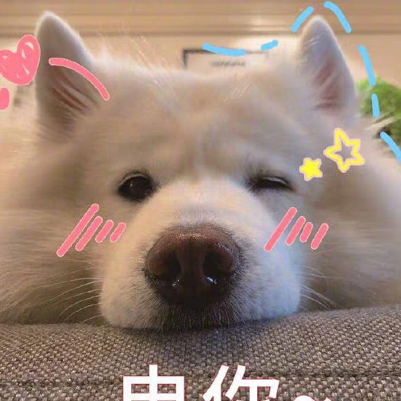 丶风待