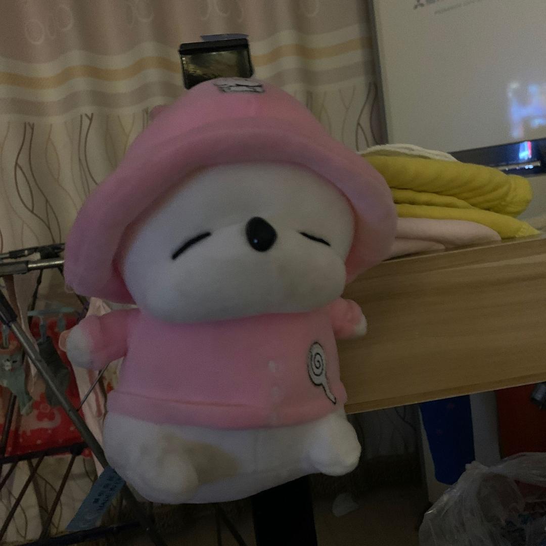 旅游爱好者