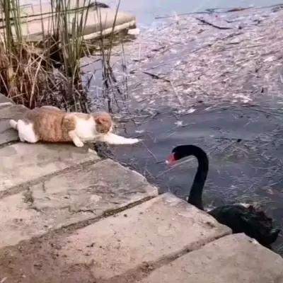 执着于你◎