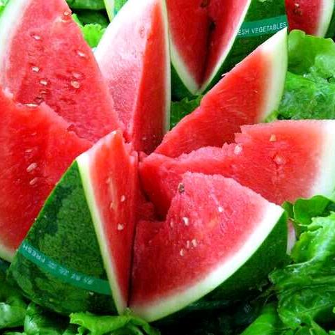 后套老农