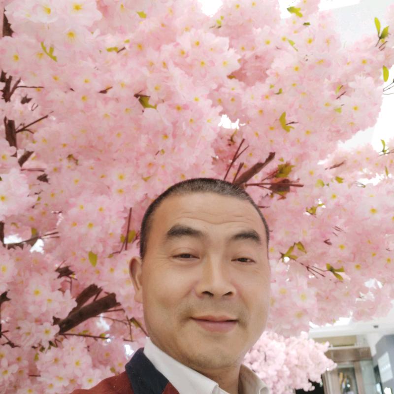 舞云镇，养鸡人，黄鸡蛋